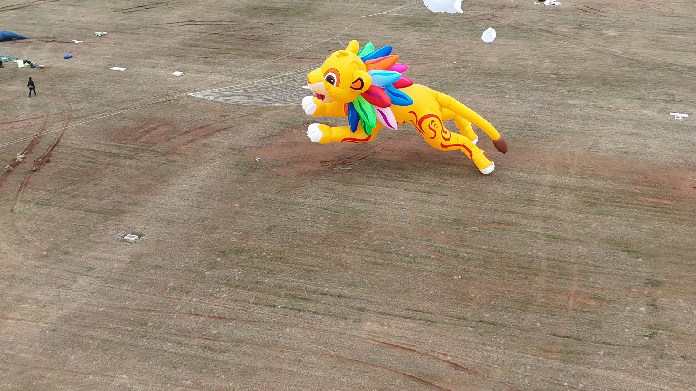 乐山市品牌风筝定制风筝商业放飞 - 排名